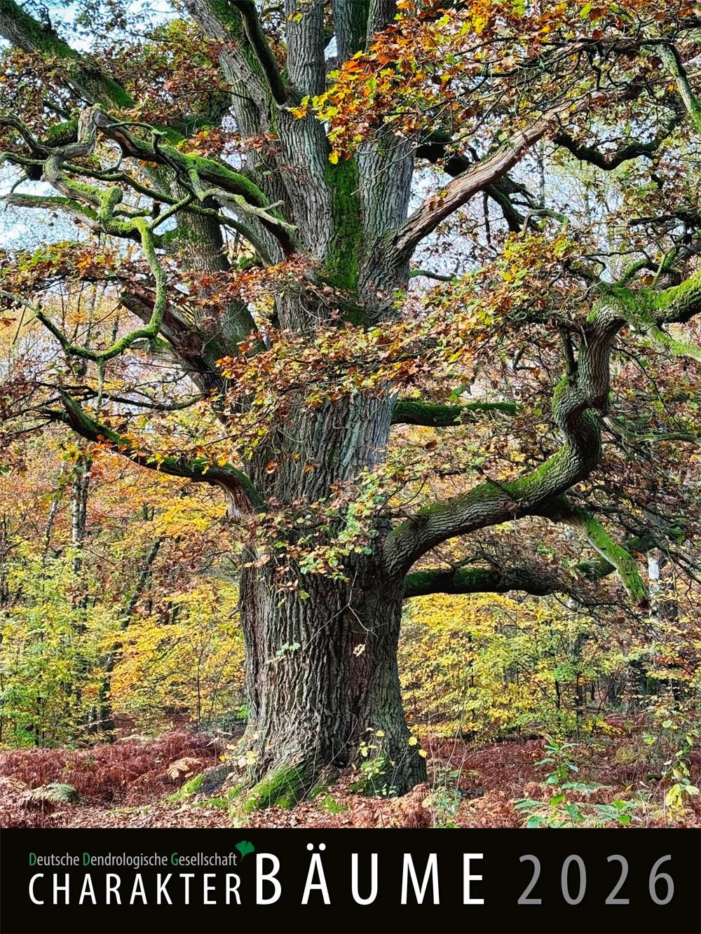 Vorderes Coverbild Charakter-Bäume 2026