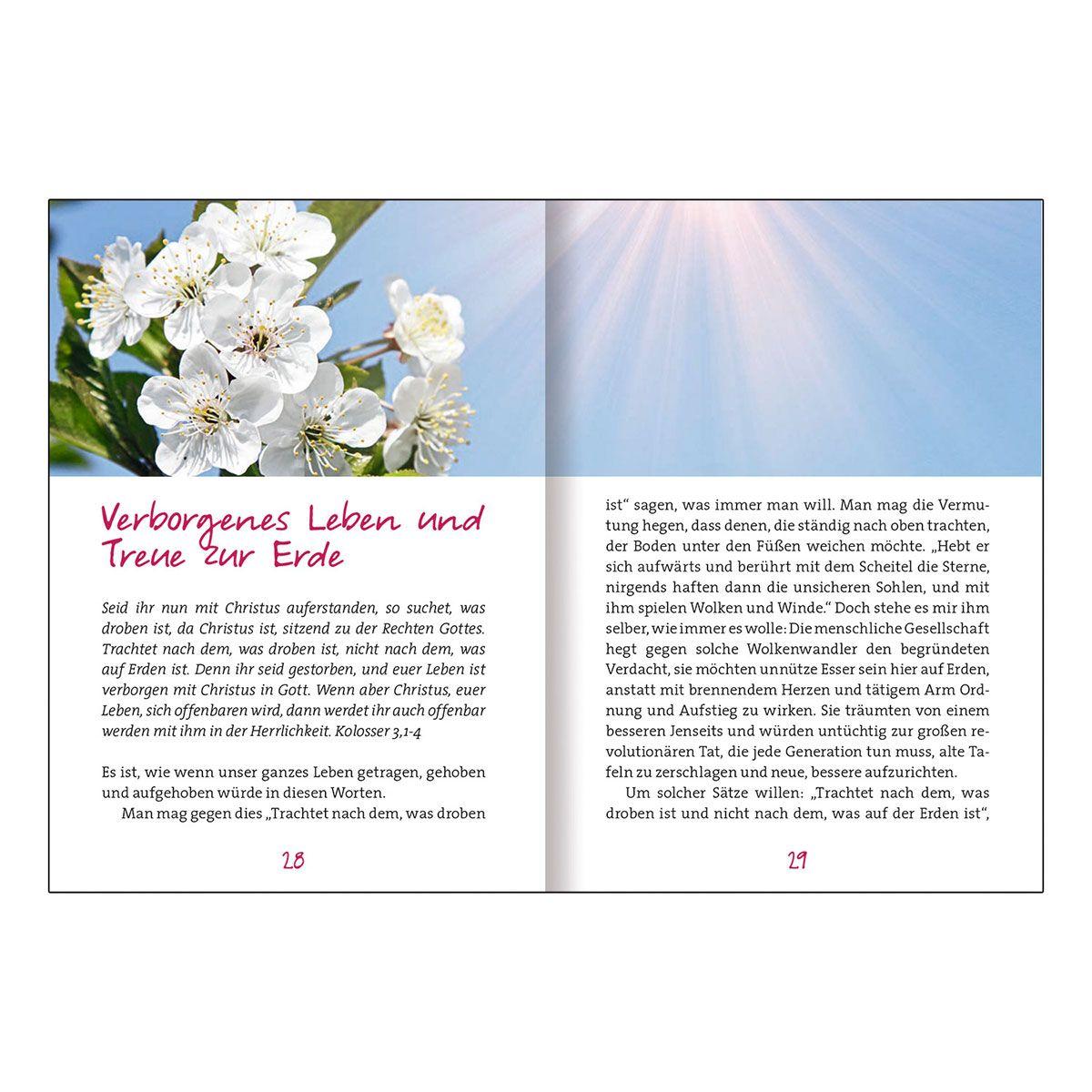 Beispielinhalt (Bild) Von Gottes Liebe leben wir