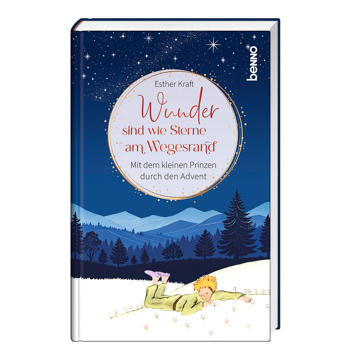 Vorderes Coverbild Wunder sind wie Sterne am Wegesrand