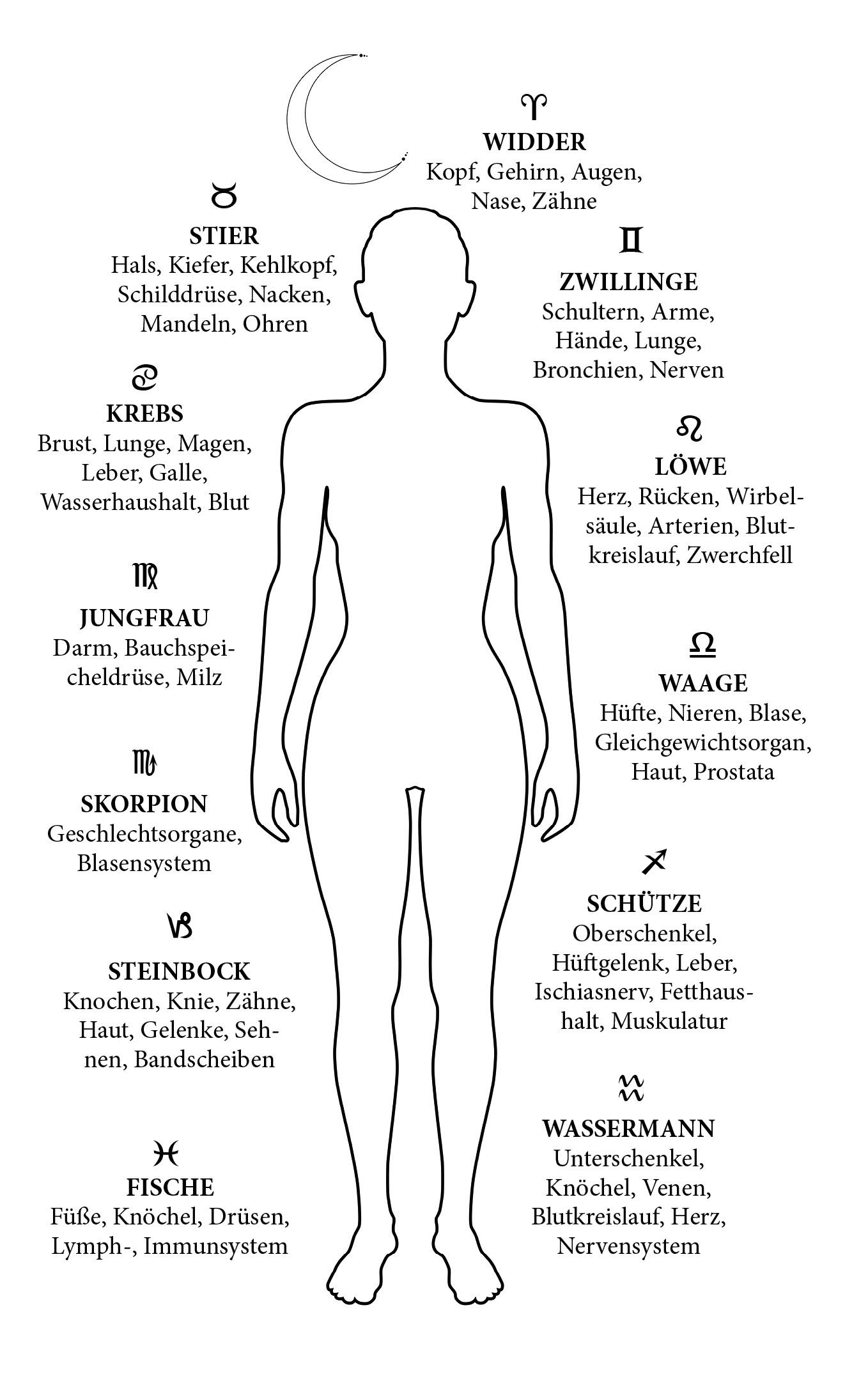 Beispielinhalt (Bild) Mondkalender 2026/2027 Tag für Tag