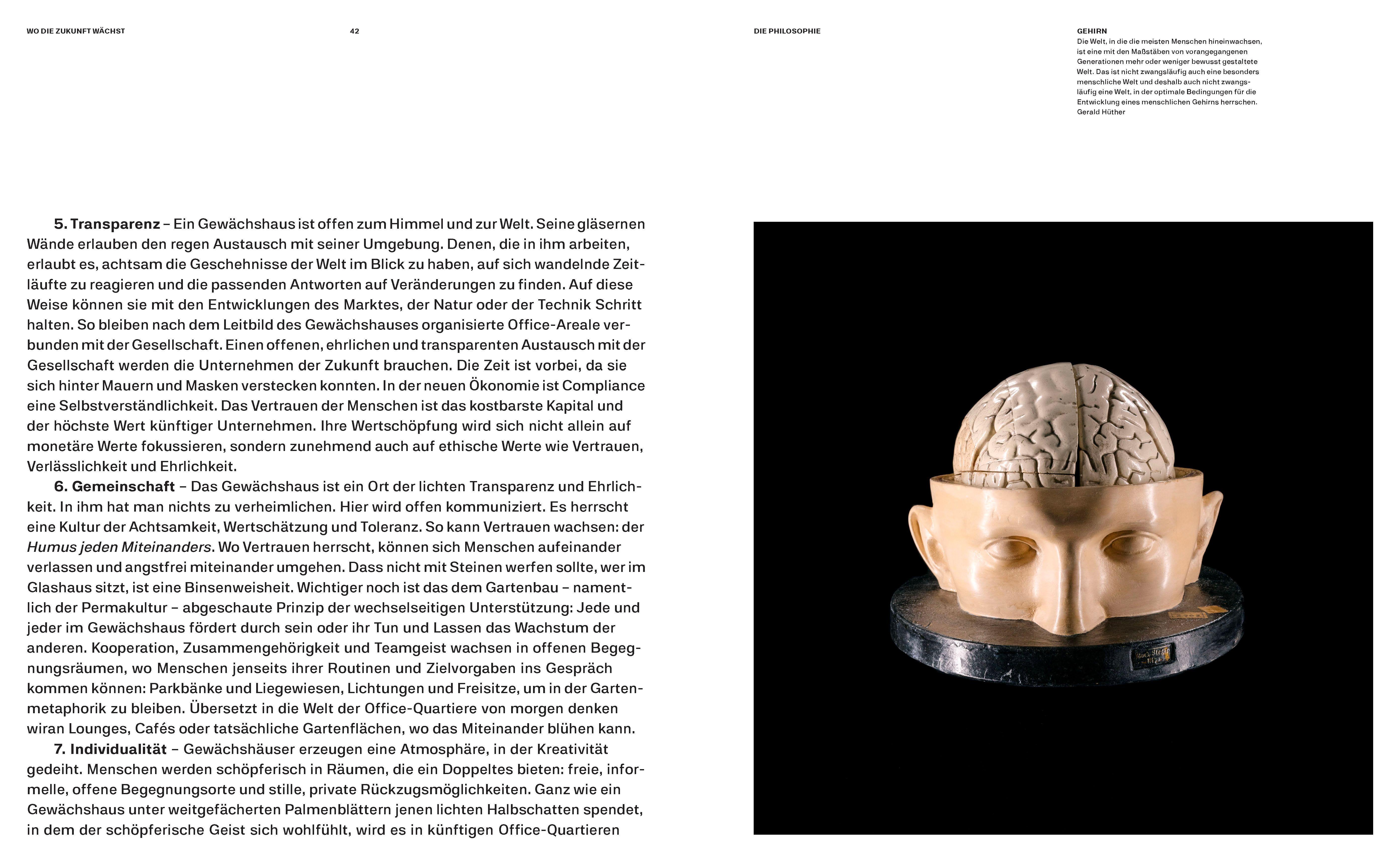 Beispielinhalt (Bild) Wo die Zukunft wächst