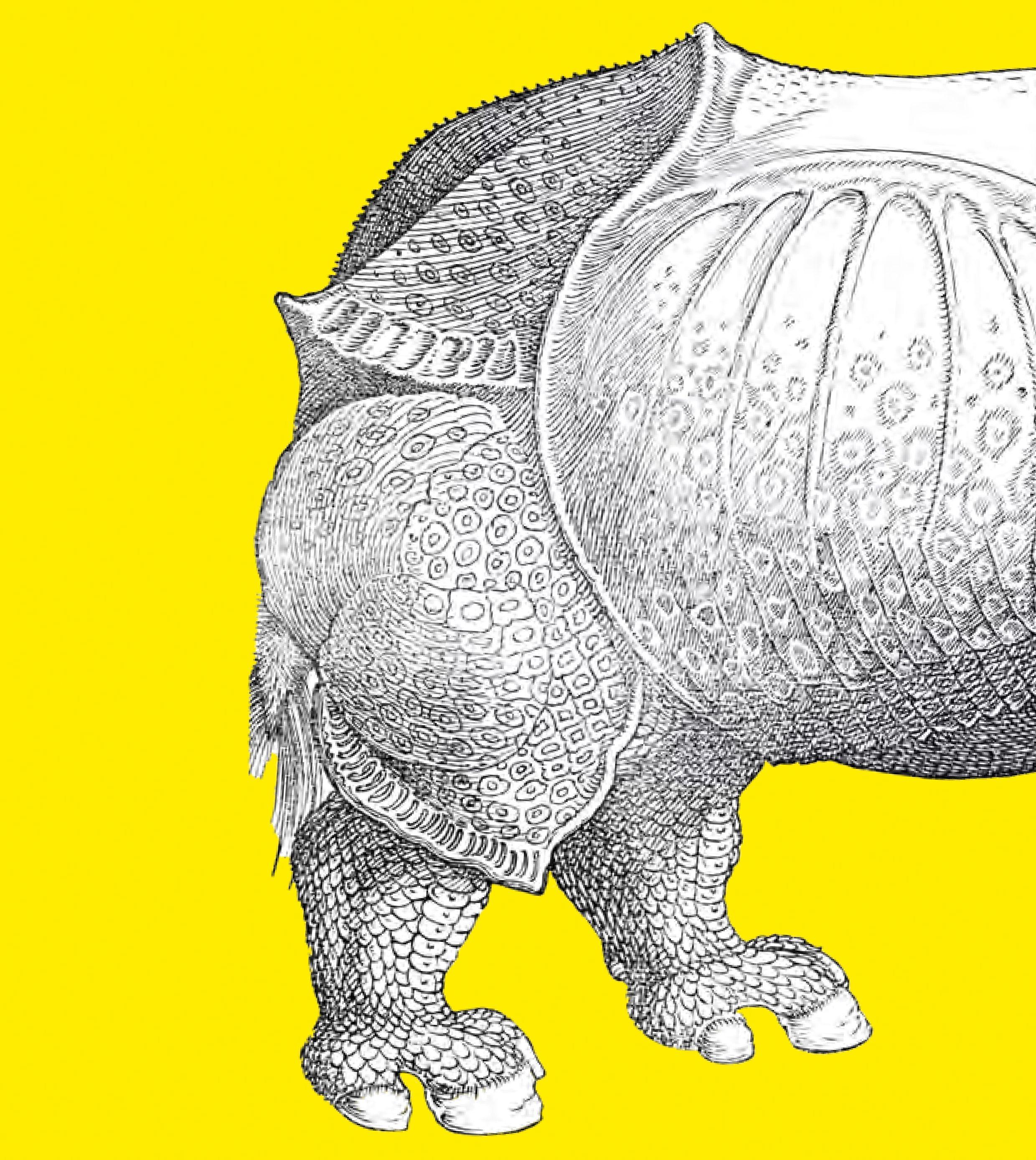 Beispielinhalt (Bild) Nürnberg GLOBAL