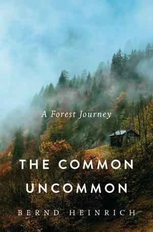 Vorderes Coverbild The Common Uncommon