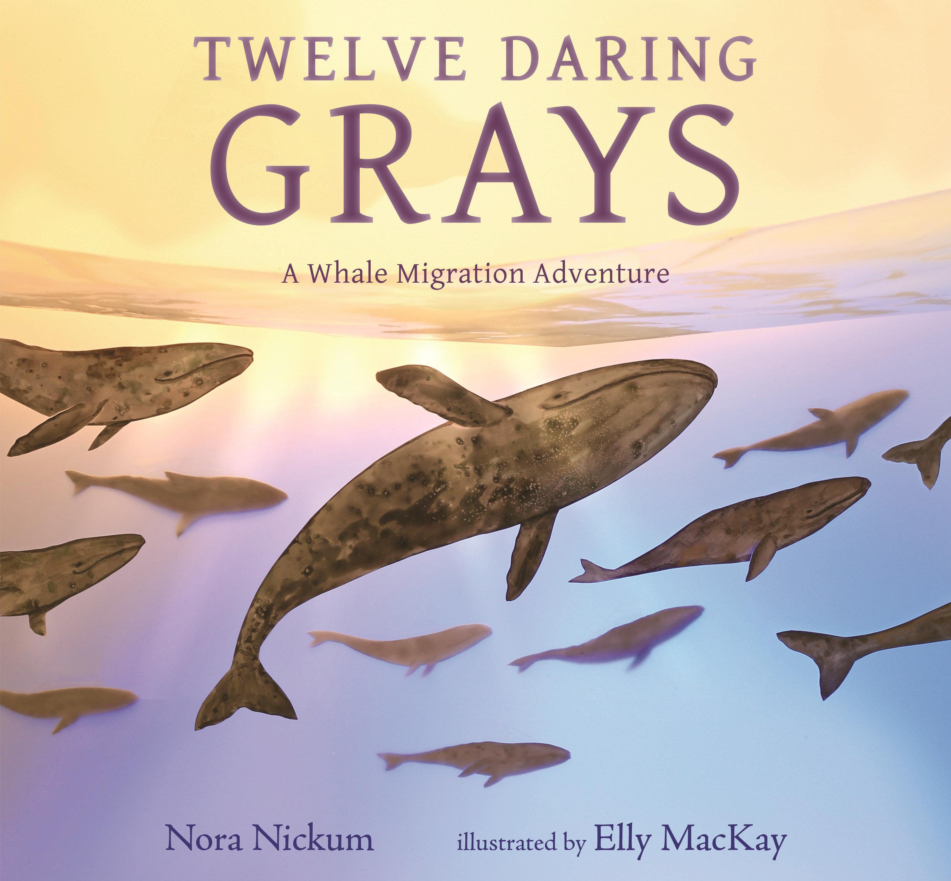Vorderes Coverbild Twelve Daring Grays: A Whale Migration Adventure