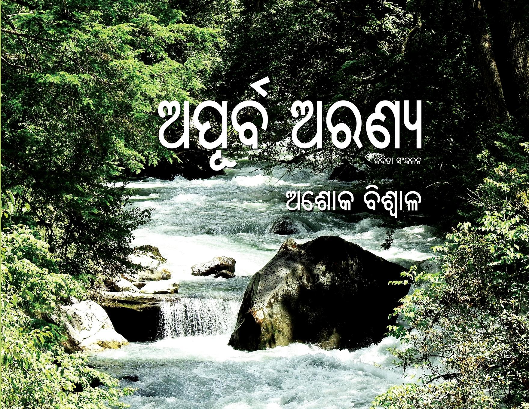 Vorderes Coverbild Apurba Aranya