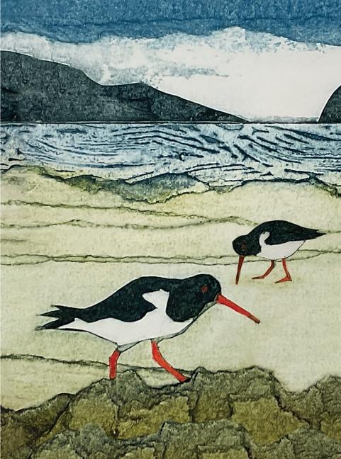Vorderes Coverbild Wild Birds Pocket Notebook: Oystercatcher
