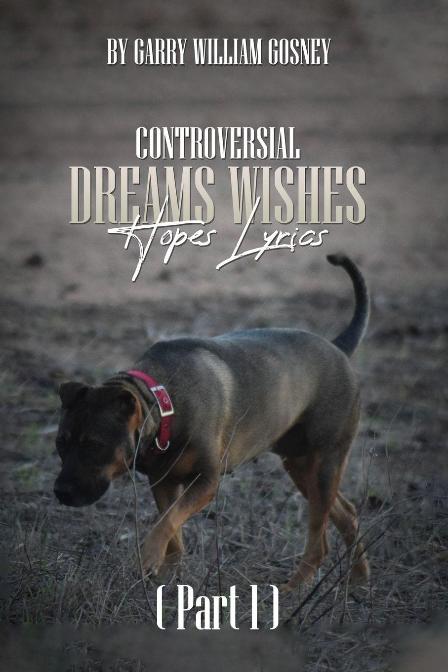 Vorderes Coverbild CONTROVERSIAL DREAMS WISHES HOPES LYRICS Part 1