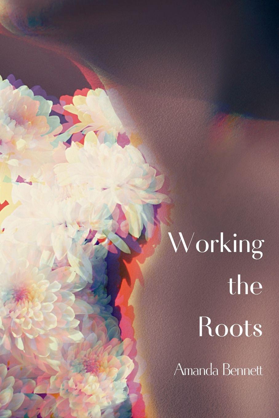 Vorderes Coverbild Working the Roots