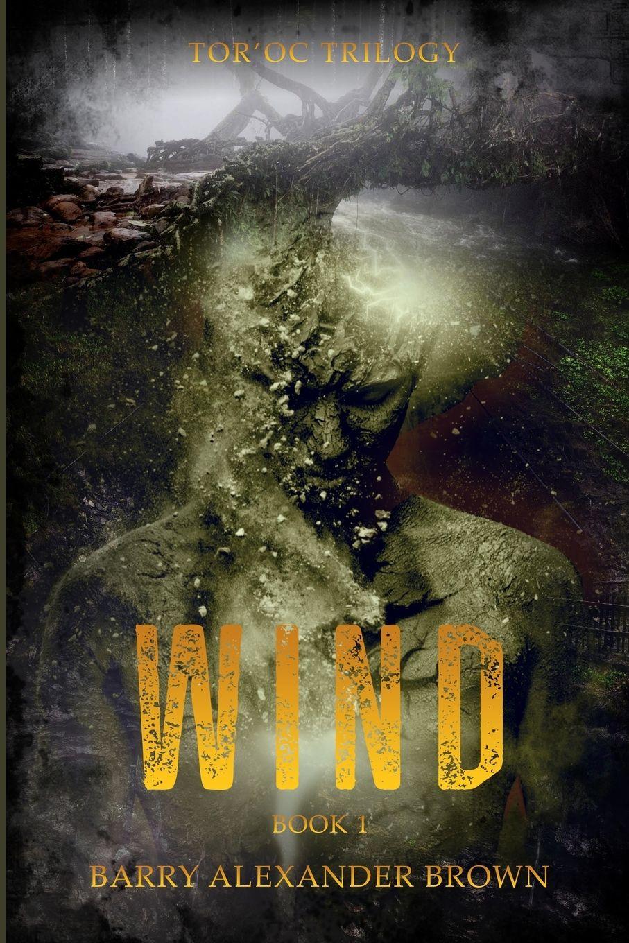 Vorderes Coverbild Wind