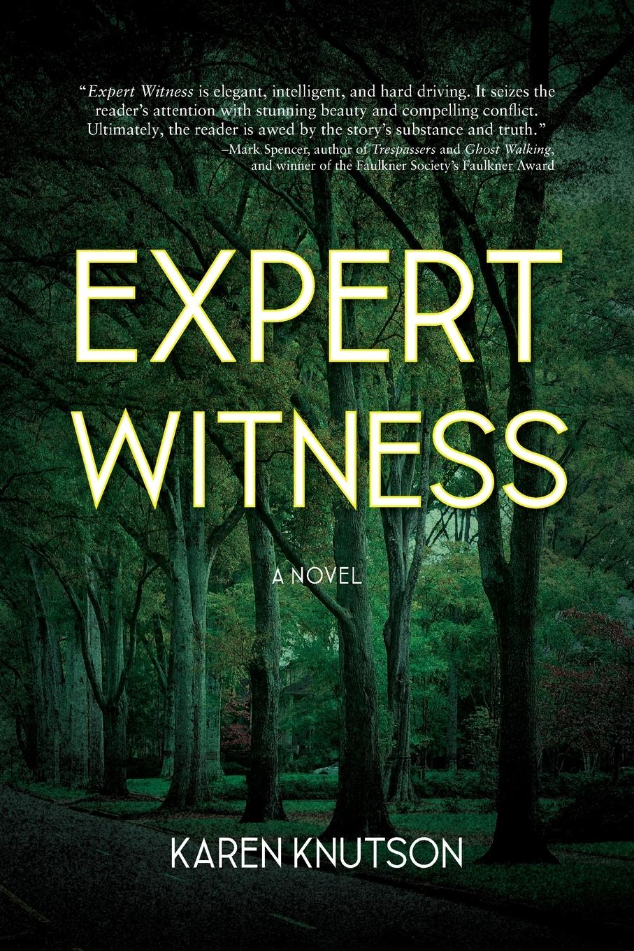 Vorderes Coverbild Expert Witness
