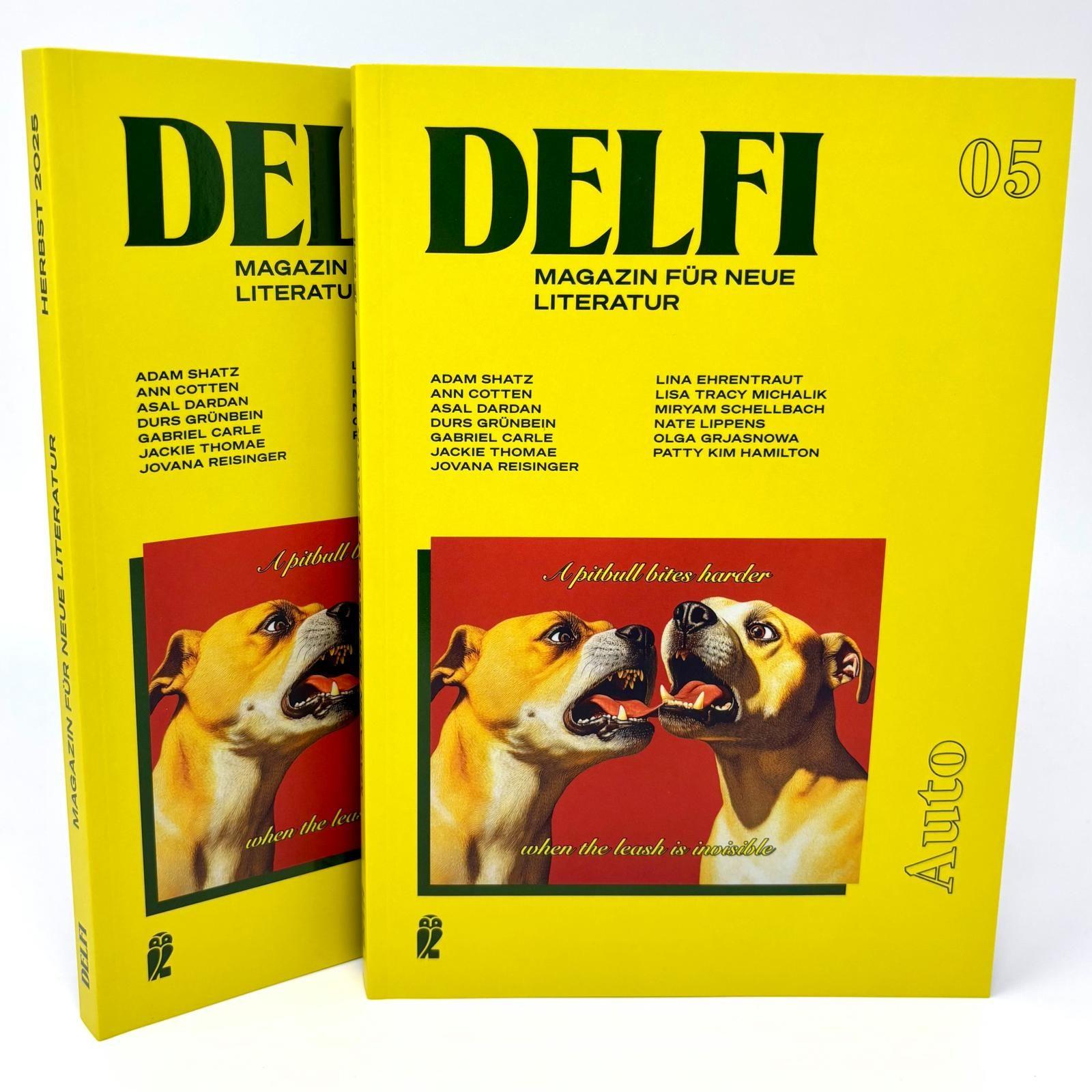 Beispielinhalt (Bild) DELFI: AUTO