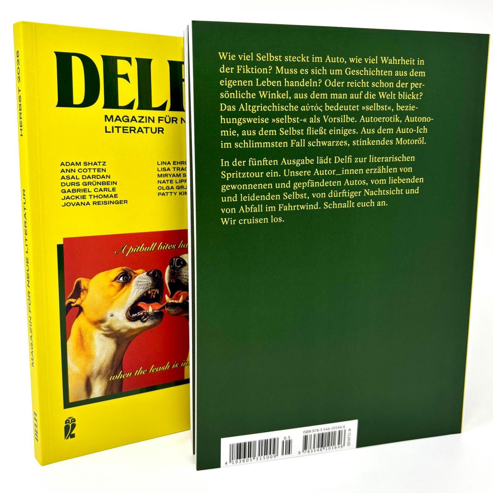 Beispielinhalt (Bild) DELFI: AUTO