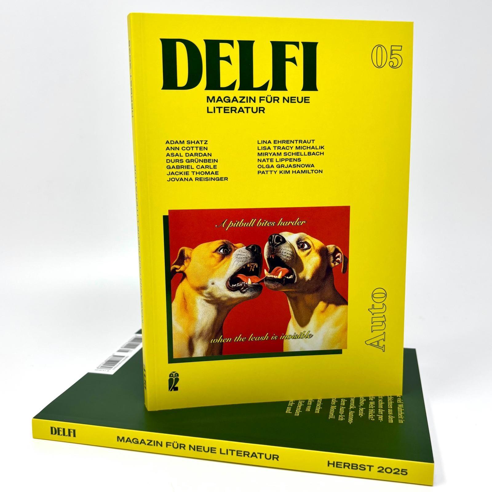 Beispielinhalt (Bild) DELFI: AUTO