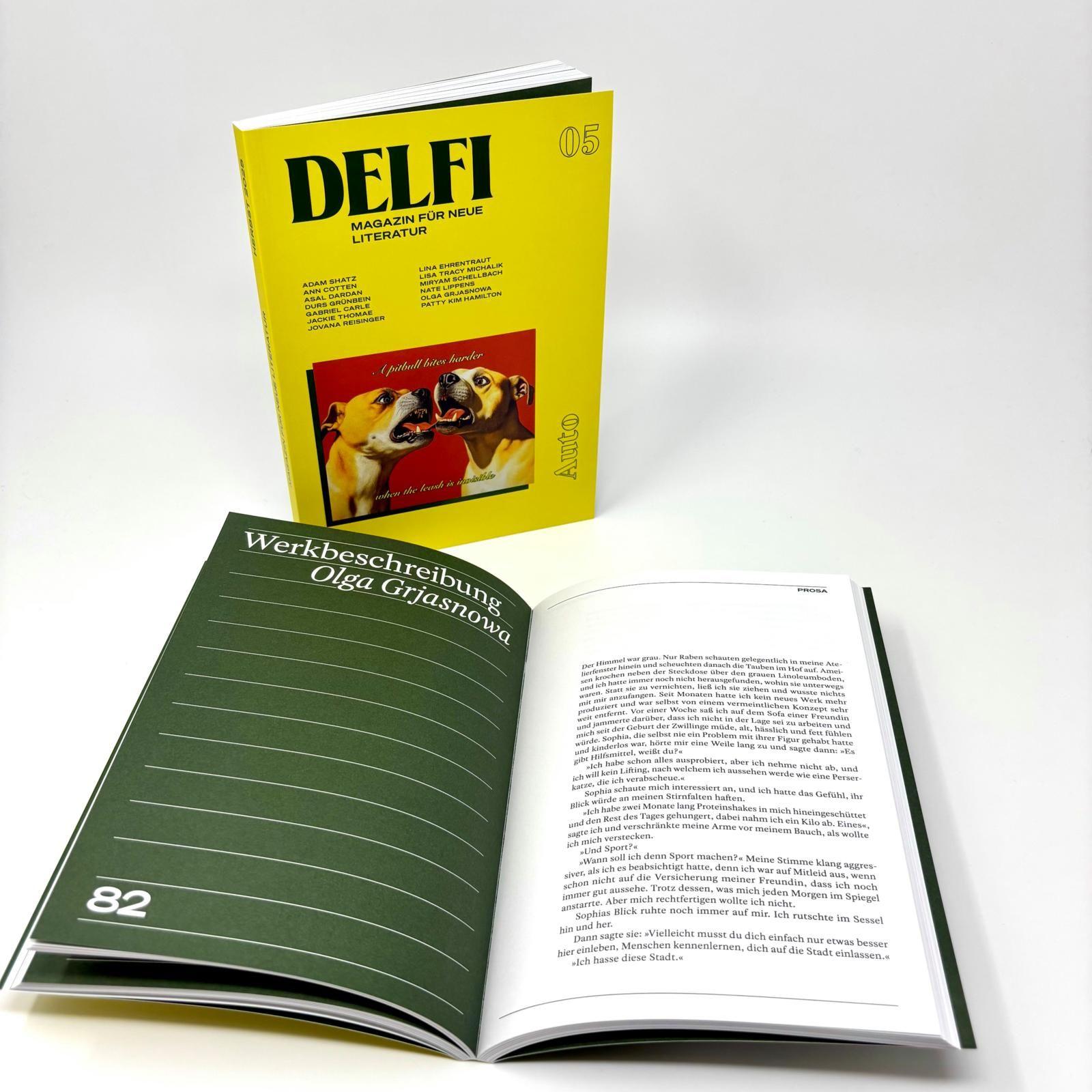 Beispielinhalt (Bild) DELFI: AUTO