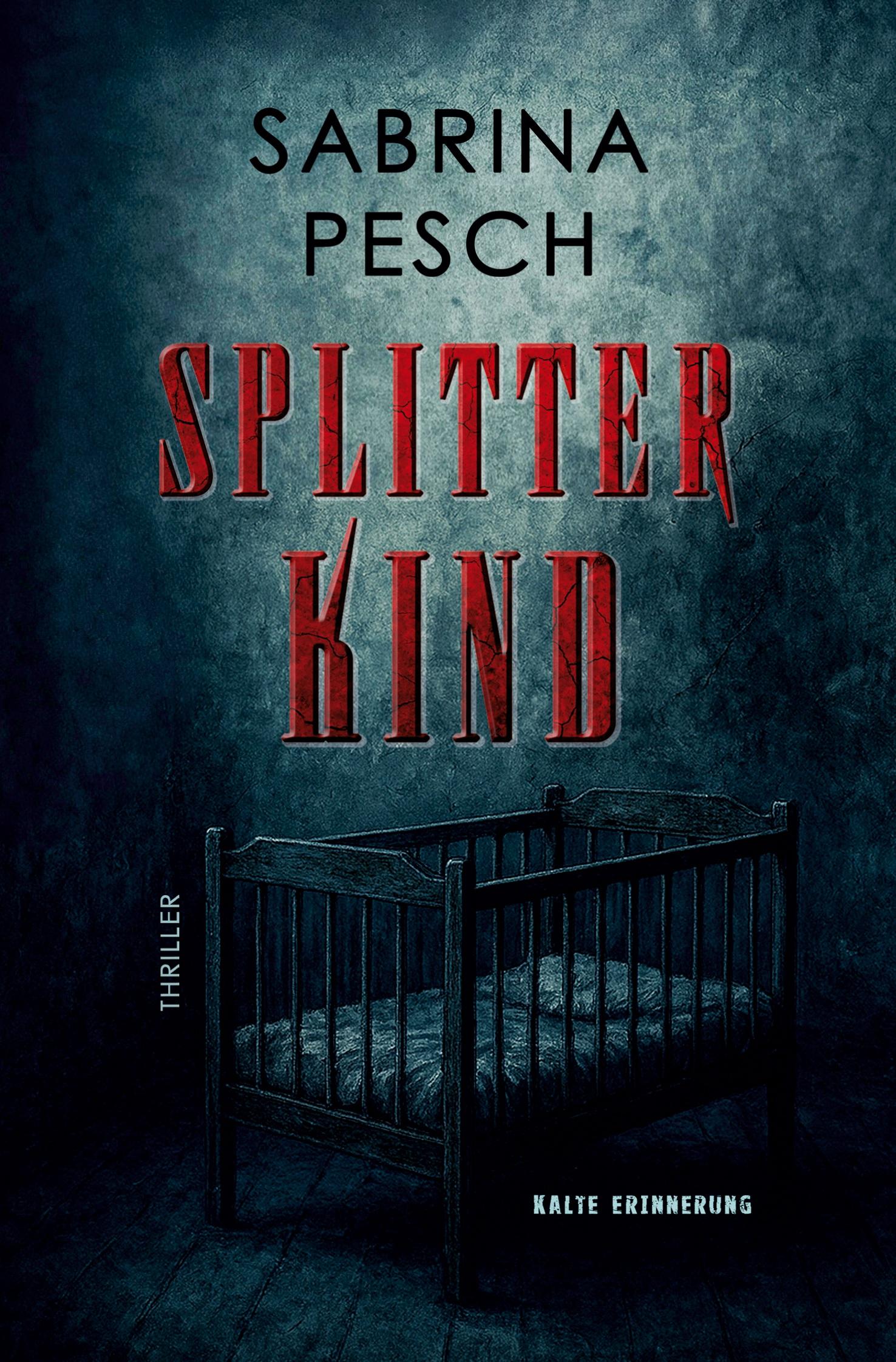 Vorderes Coverbild Splitterkind