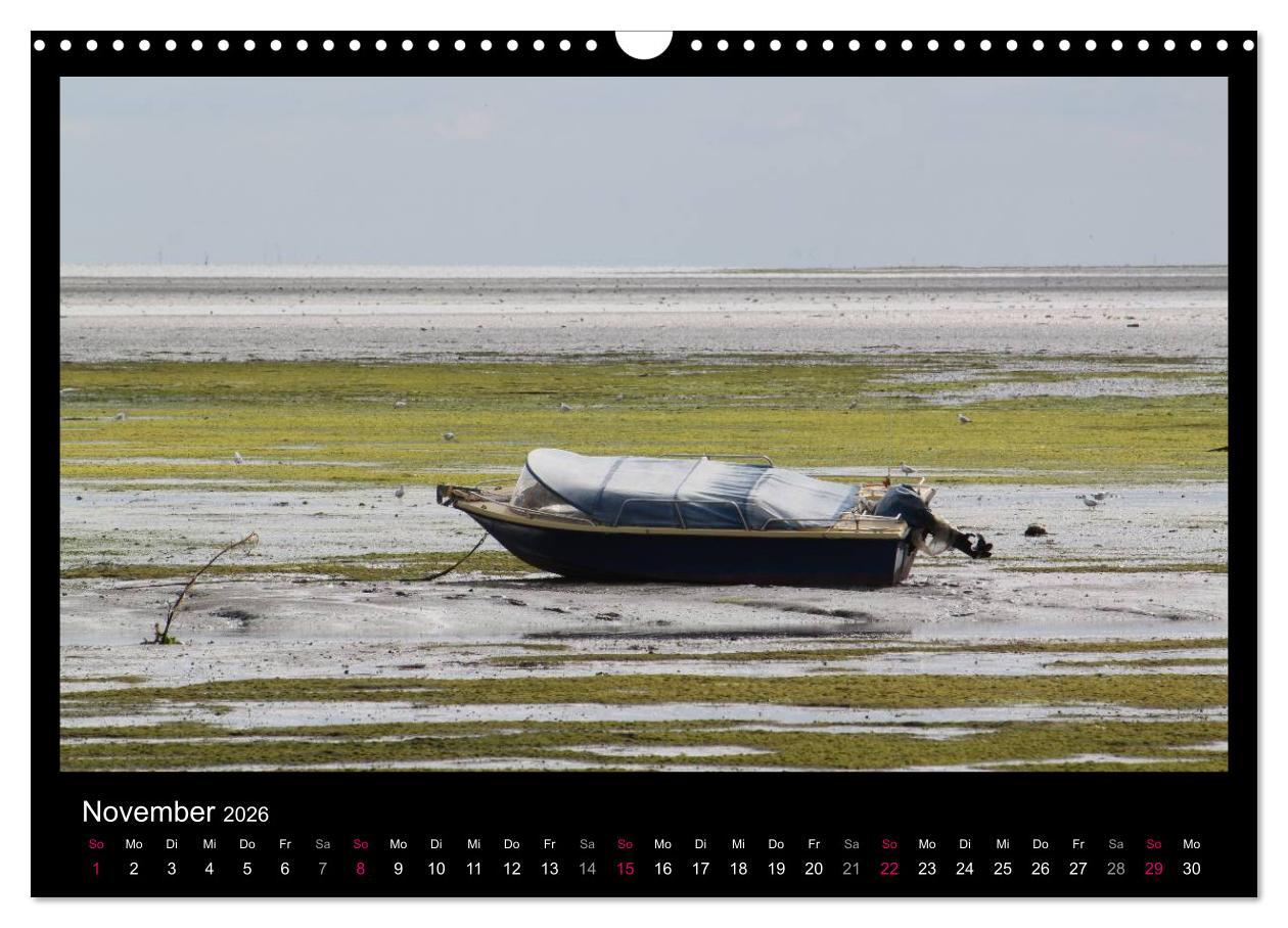 Beispielinhalt (Bild) Texel, eine Perle Hollands (Wandkalender 2026 DIN A3 quer), CALVENDO Monatskalender