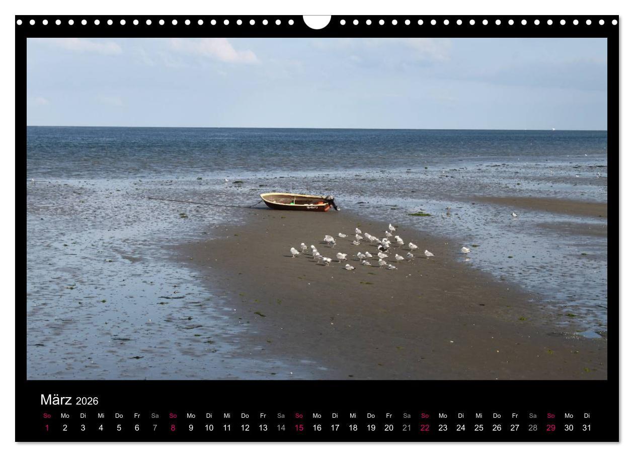 Beispielinhalt (Bild) Texel, eine Perle Hollands (Wandkalender 2026 DIN A3 quer), CALVENDO Monatskalender