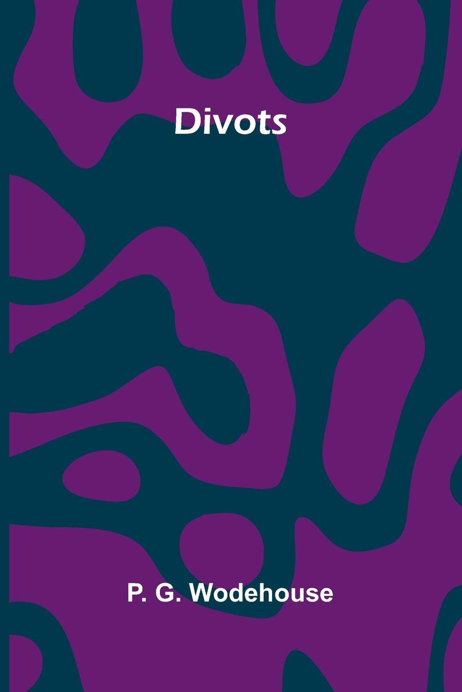 Vorderes Coverbild Divots