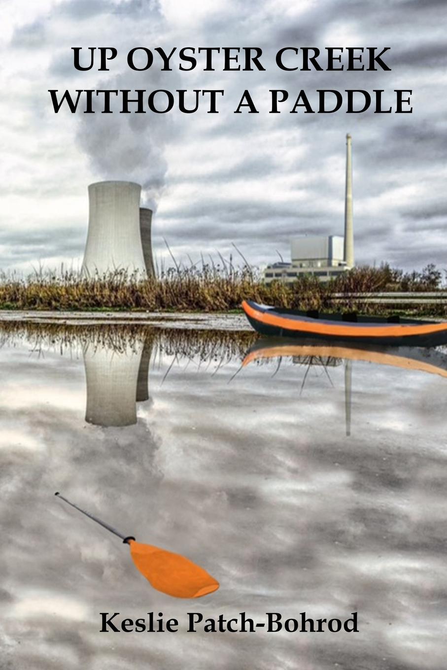 Vorderes Coverbild Up Oyster Creek Without a Paddle