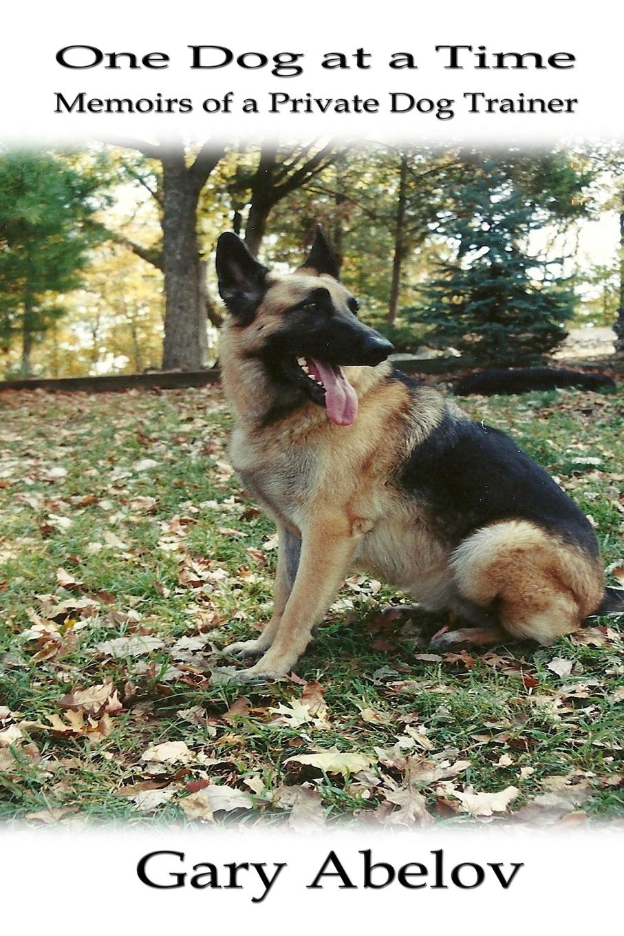 Vorderes Coverbild One Dog at a Time