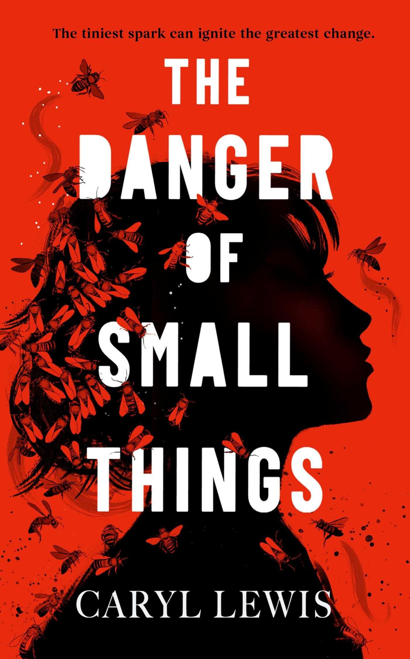 Vorderes Coverbild The Danger of Small Things