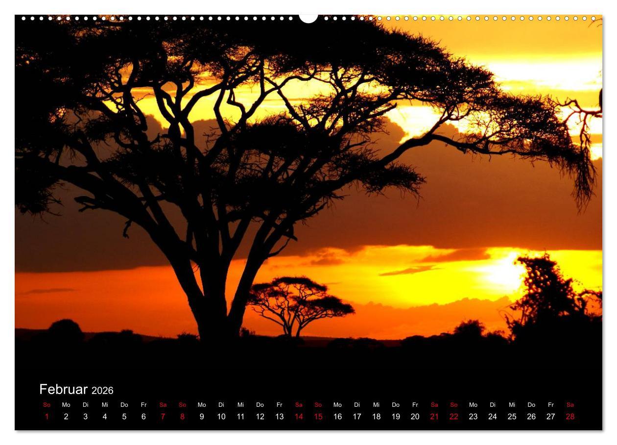 Beispielinhalt (Bild) Natur von ihrer schönsten Seite 2026 (Wandkalender 2026 DIN A2 quer), CALVENDO Monatskalender