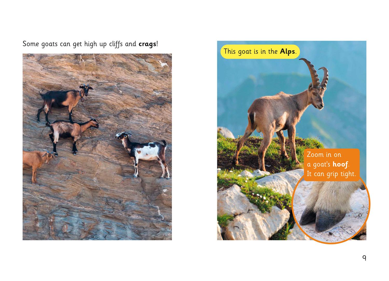 Beispielinhalt (Bild) Goat Skills