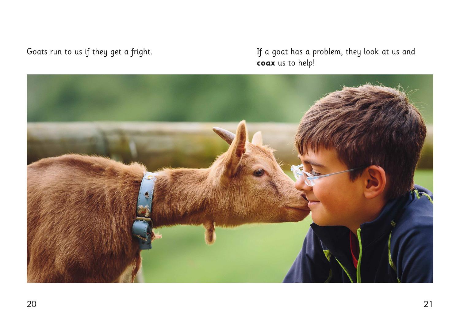 Beispielinhalt (Bild) Goat Skills