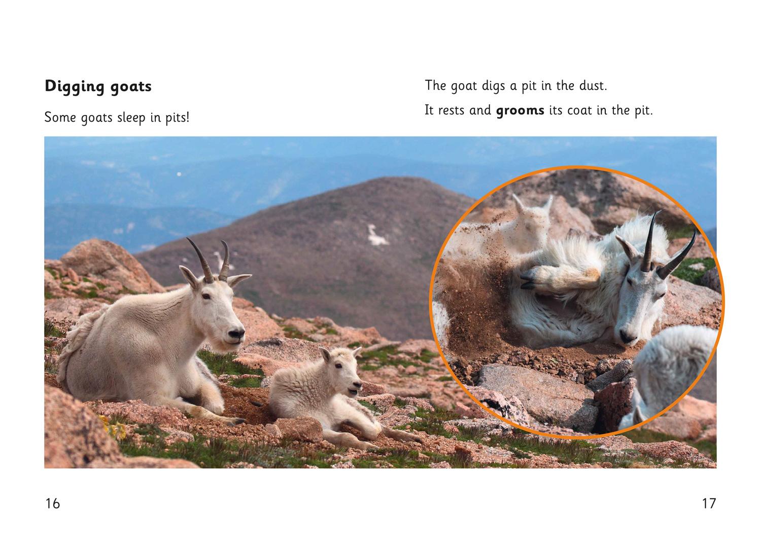 Beispielinhalt (Bild) Goat Skills