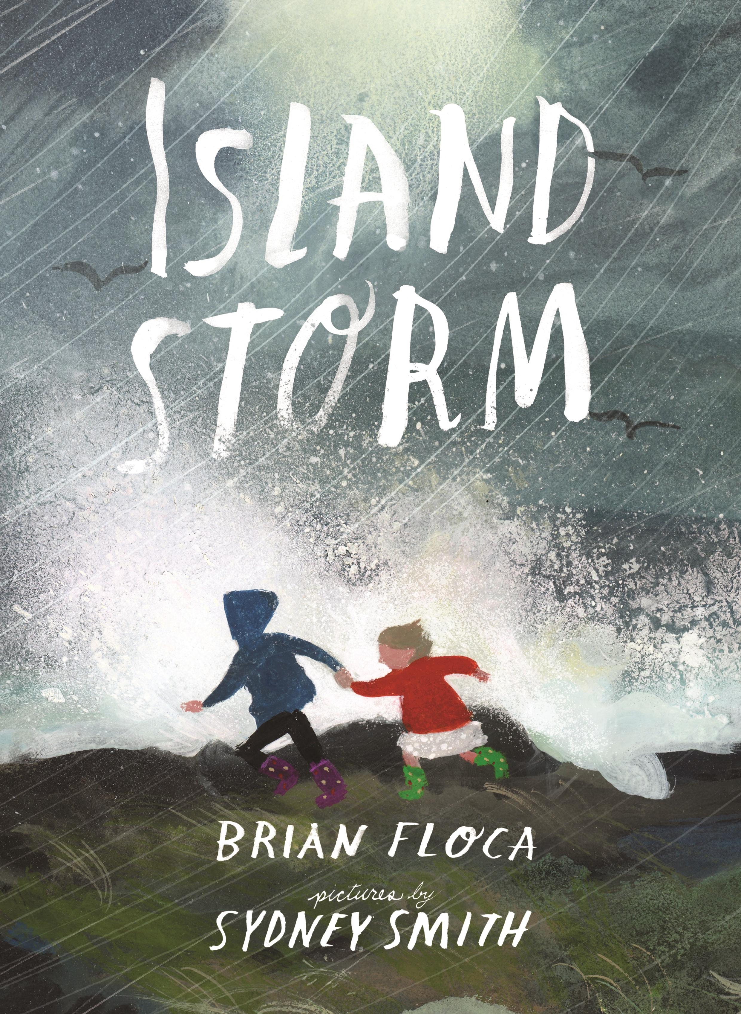 Vorderes Coverbild Island Storm