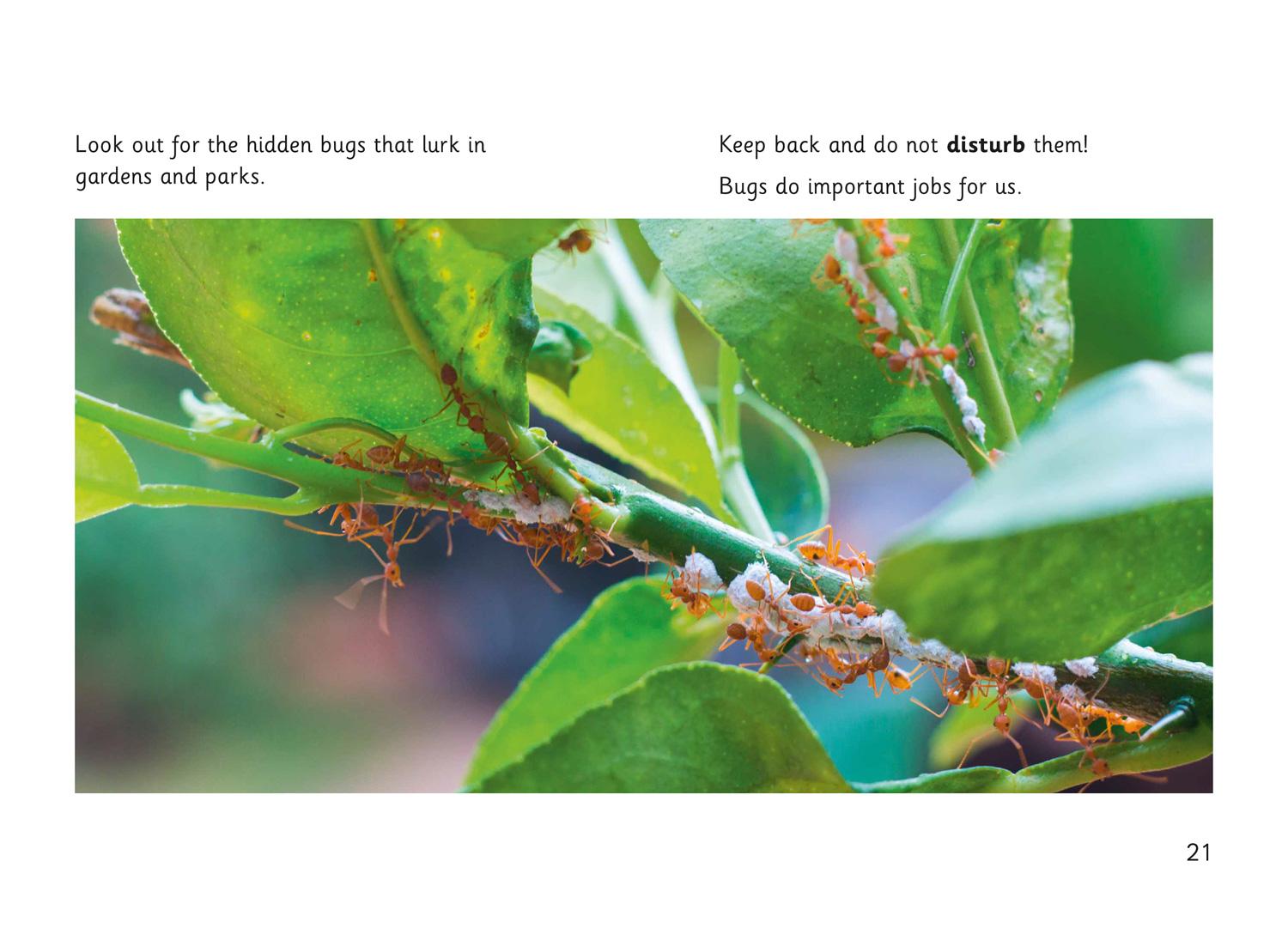 Beispielinhalt (Bild) Hidden Bugs