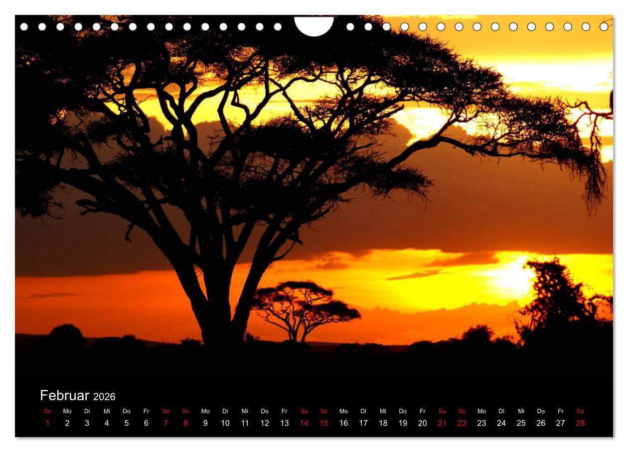 Beispielinhalt (Bild) Natur von ihrer schönsten Seite 2026 (Wandkalender 2026 DIN A4 quer), CALVENDO Monatskalender