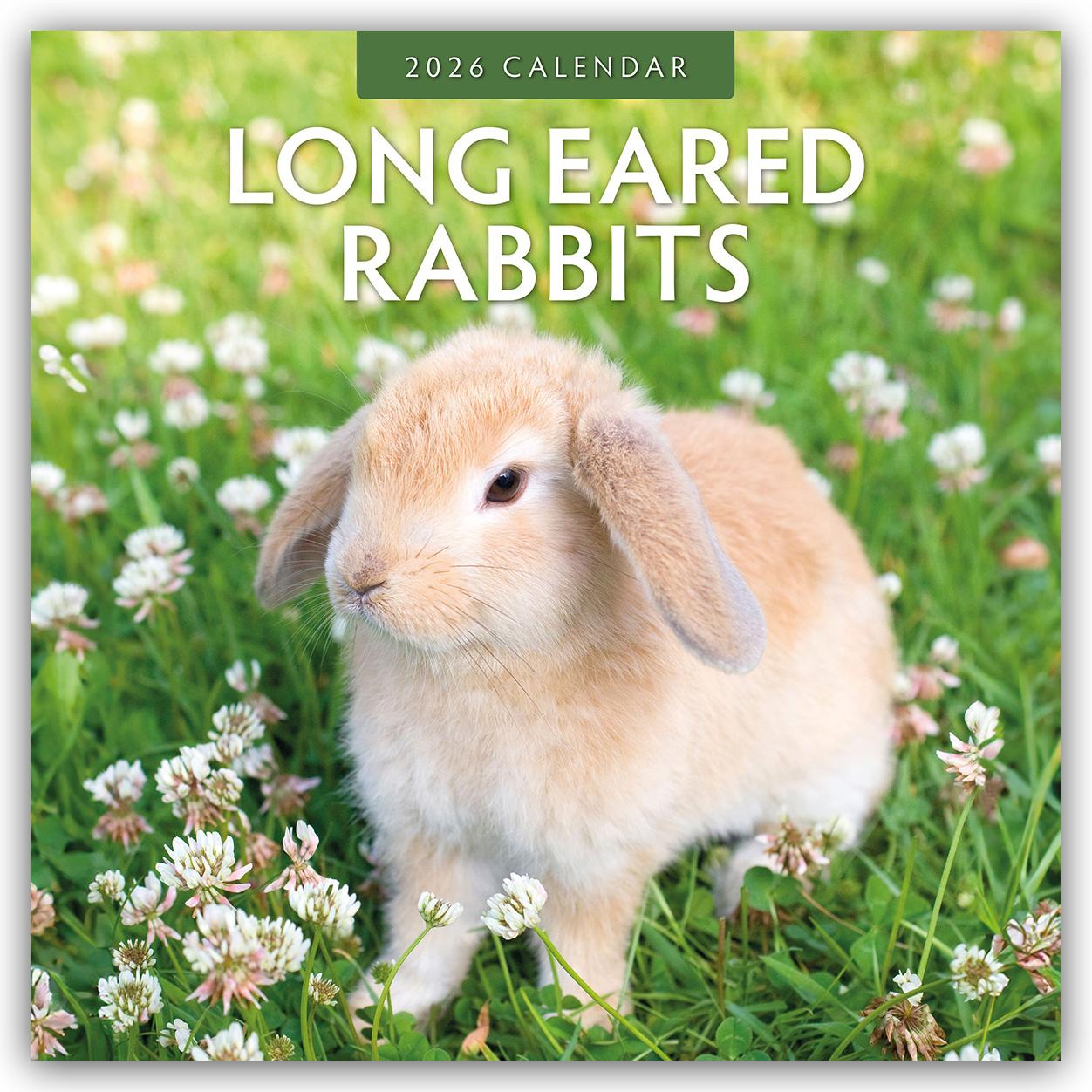 Vorderes Coverbild Long Eared Rabbits - Langohrhasen 2026 - 16-Monatskalender