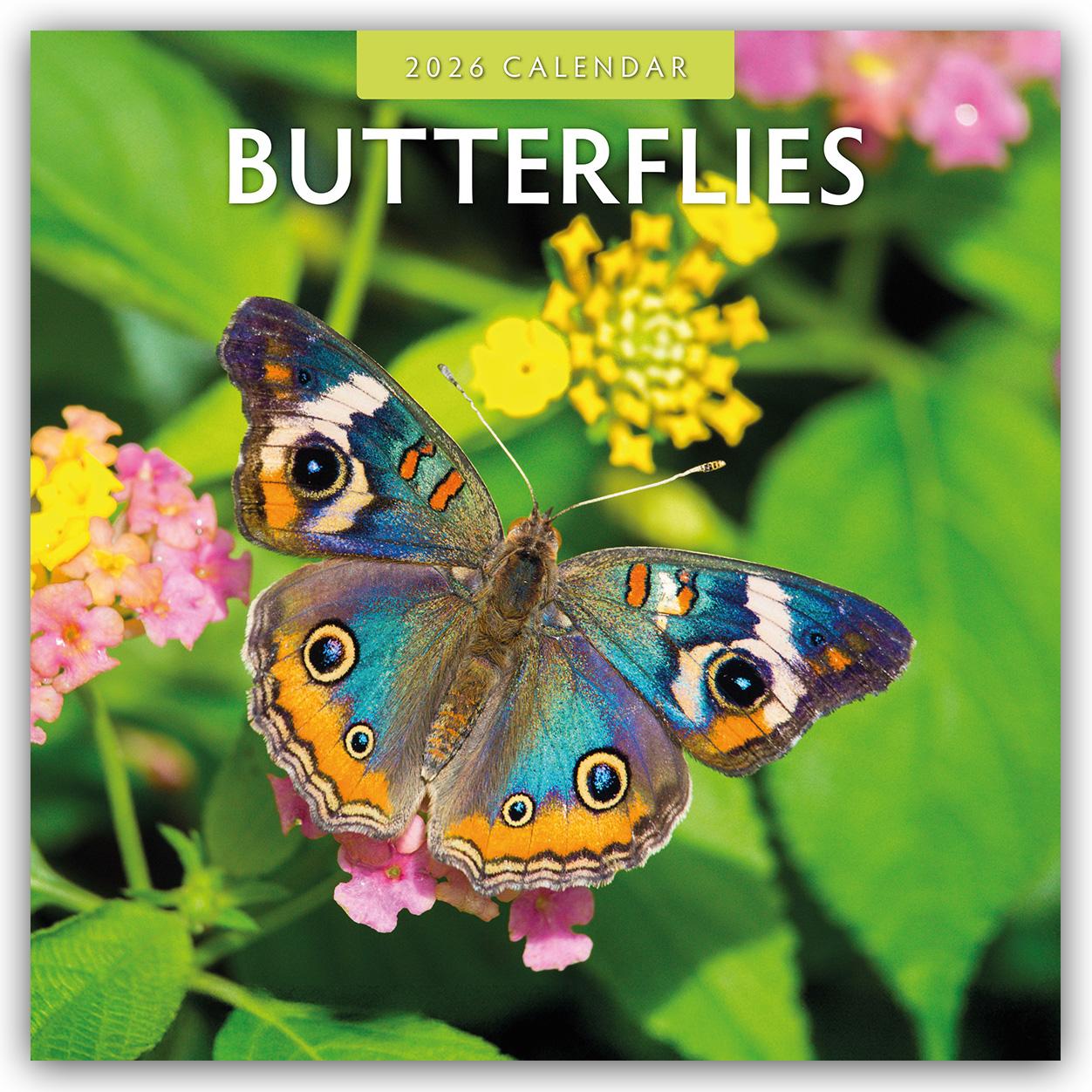 Vorderes Coverbild Butterflies 2026 Square Wall Calendar