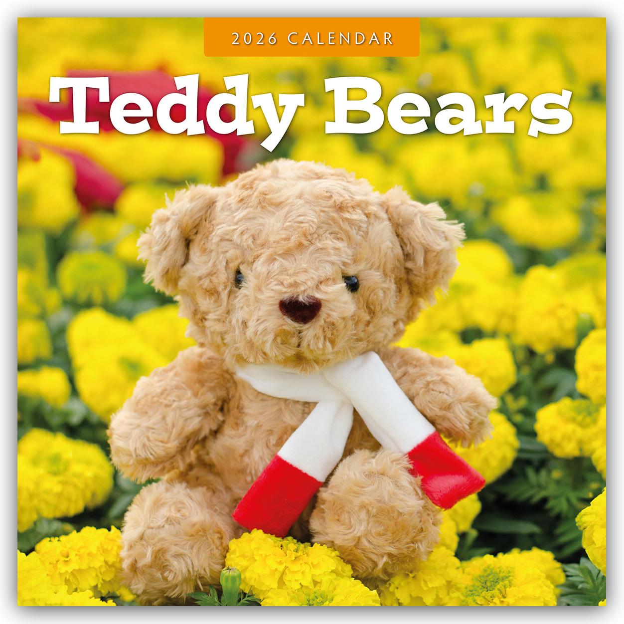 Vorderes Coverbild Teddy Bears - Teddybären 2026 - 16-Monatskalender