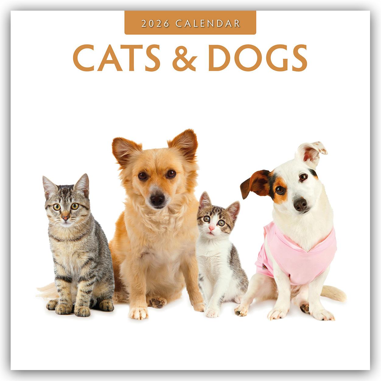 Vorderes Coverbild Cats & Dogs - Katzen & Hunde 2026 - 16-Monatskalender