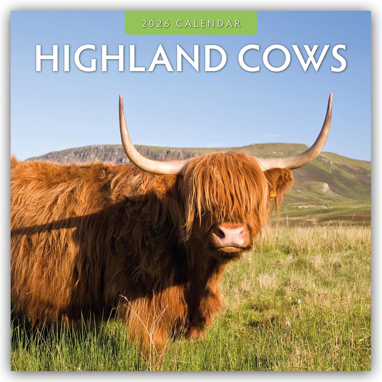 Vorderes Coverbild Highland Cows - Hochland Kühe 2026 - 16-Monatskalender