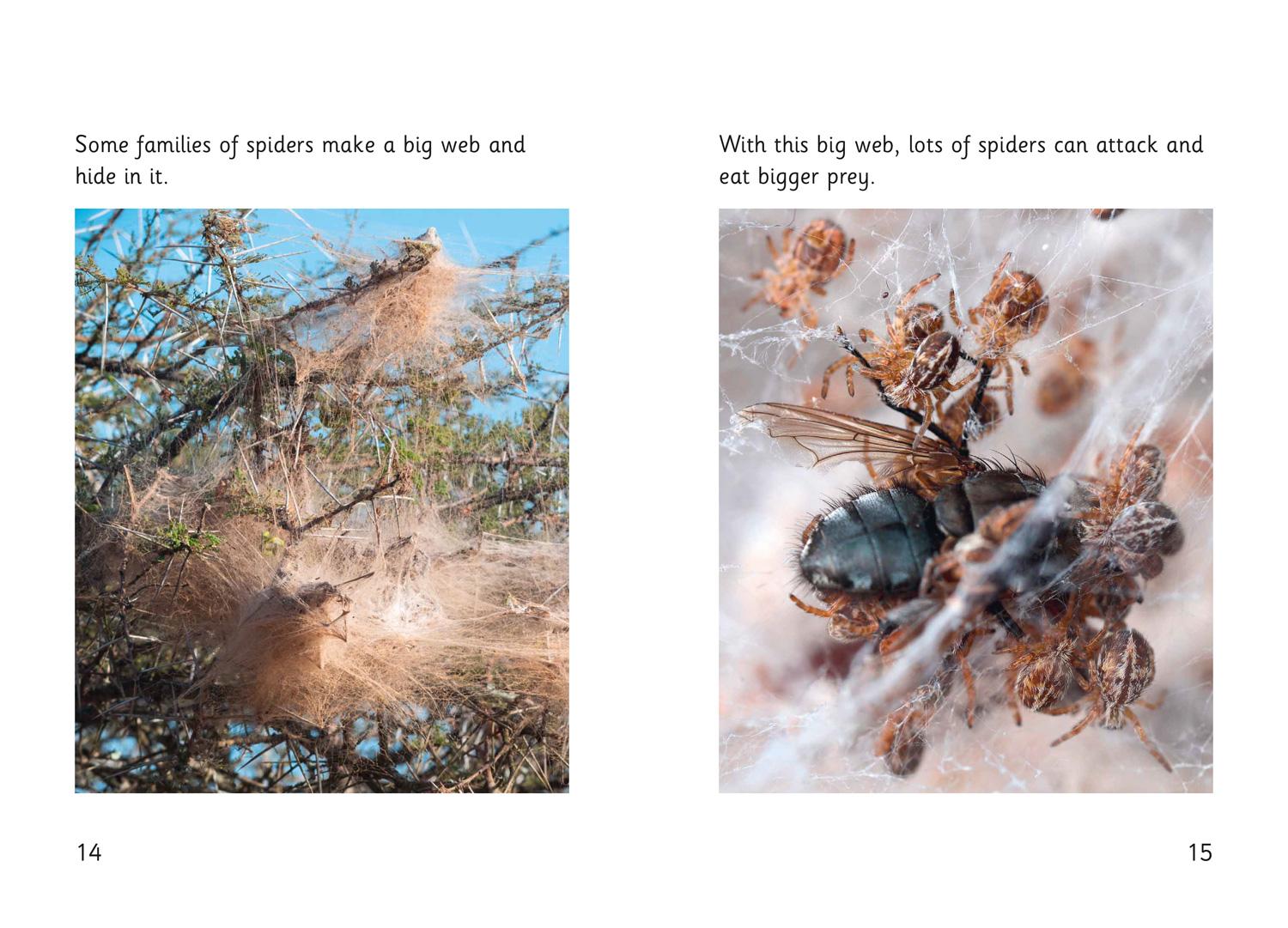 Beispielinhalt (Bild) Spider Strike!