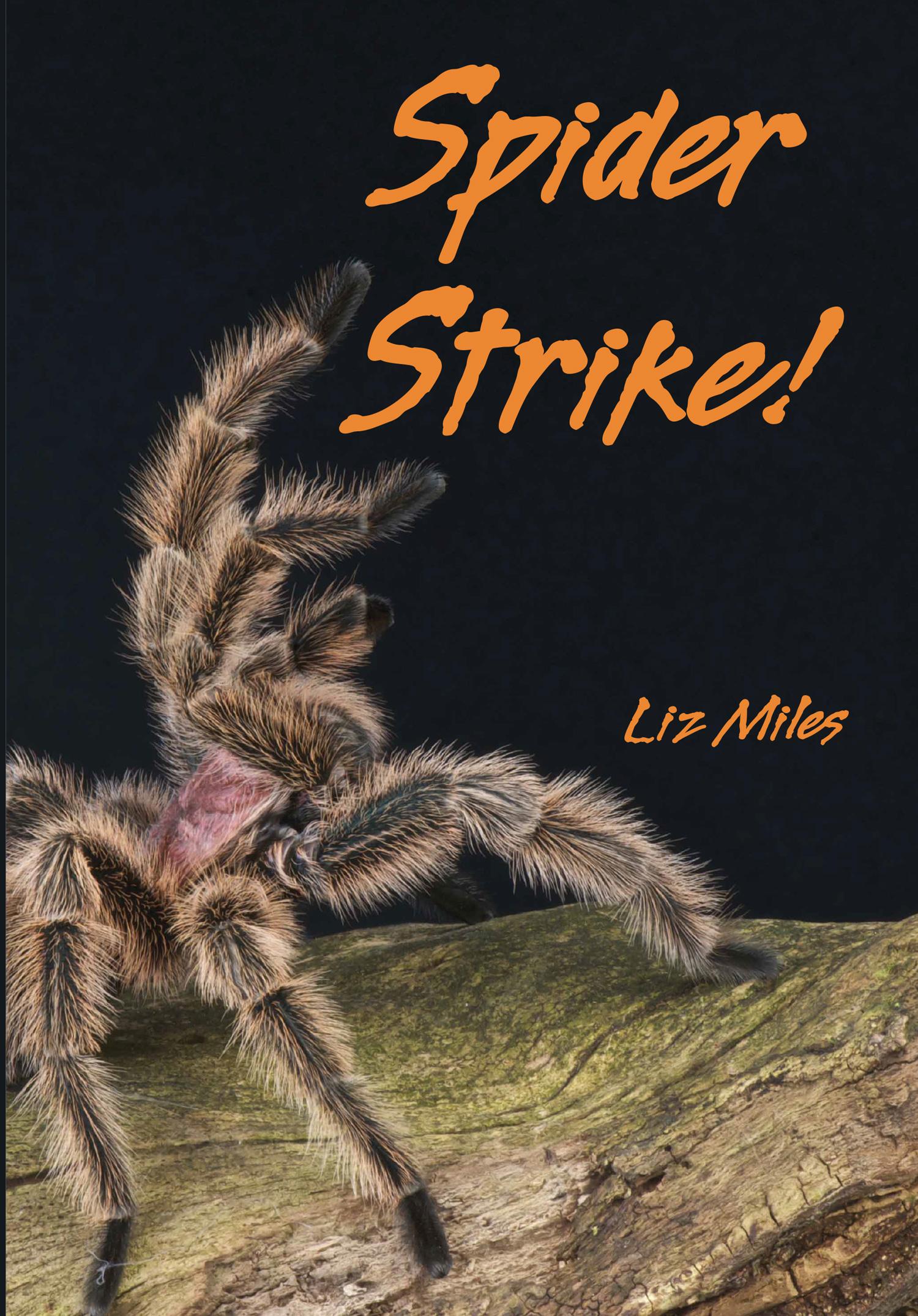 Vorderes Coverbild Spider Strike!