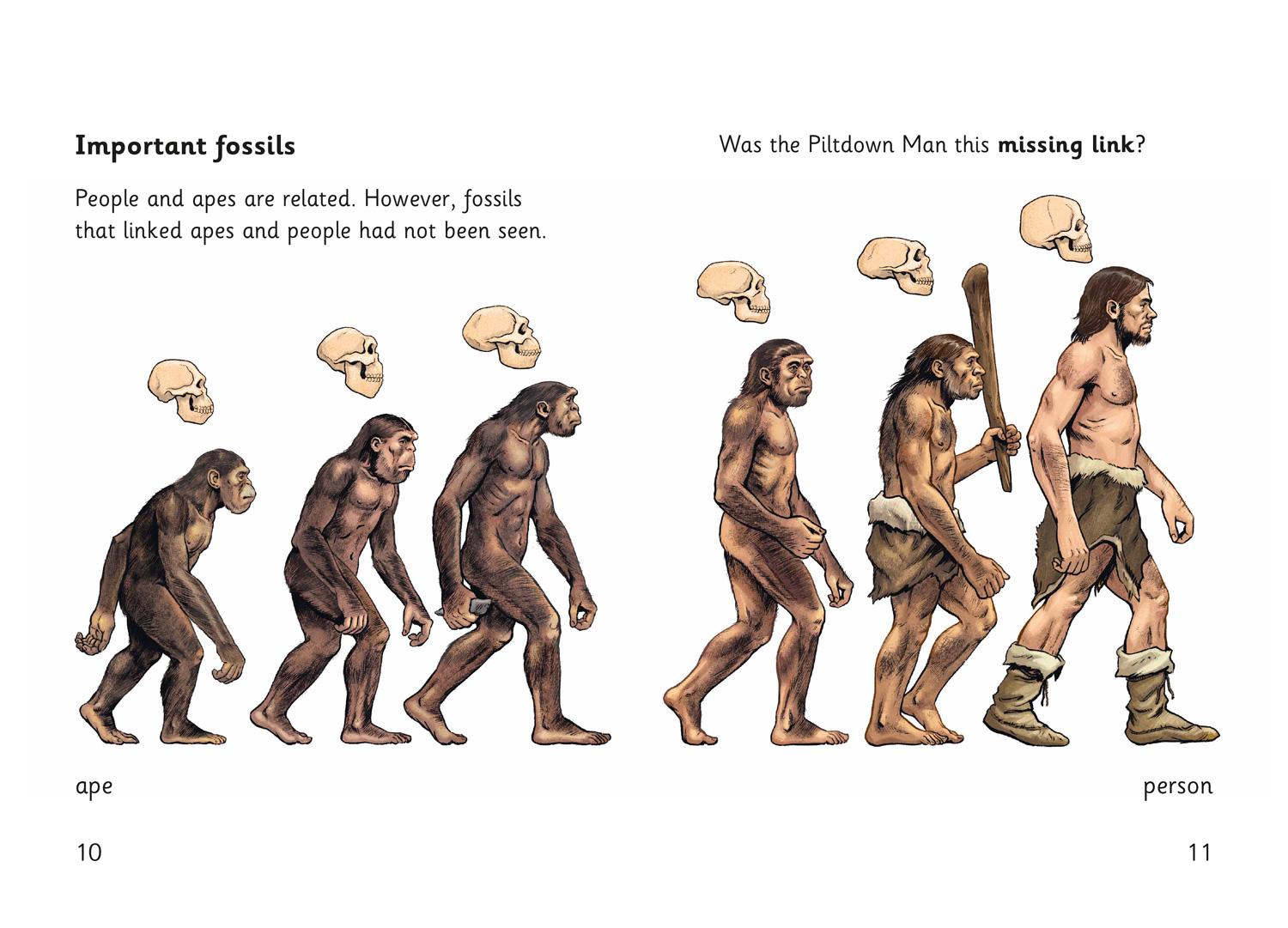 Beispielinhalt (Bild) The Case of the Piltdown Man