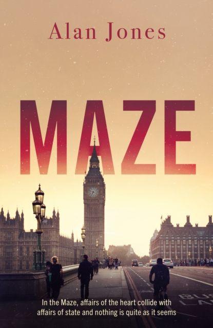 Vorderes Coverbild Maze
