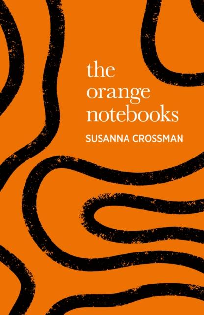 Vorderes Coverbild The Orange Notebooks