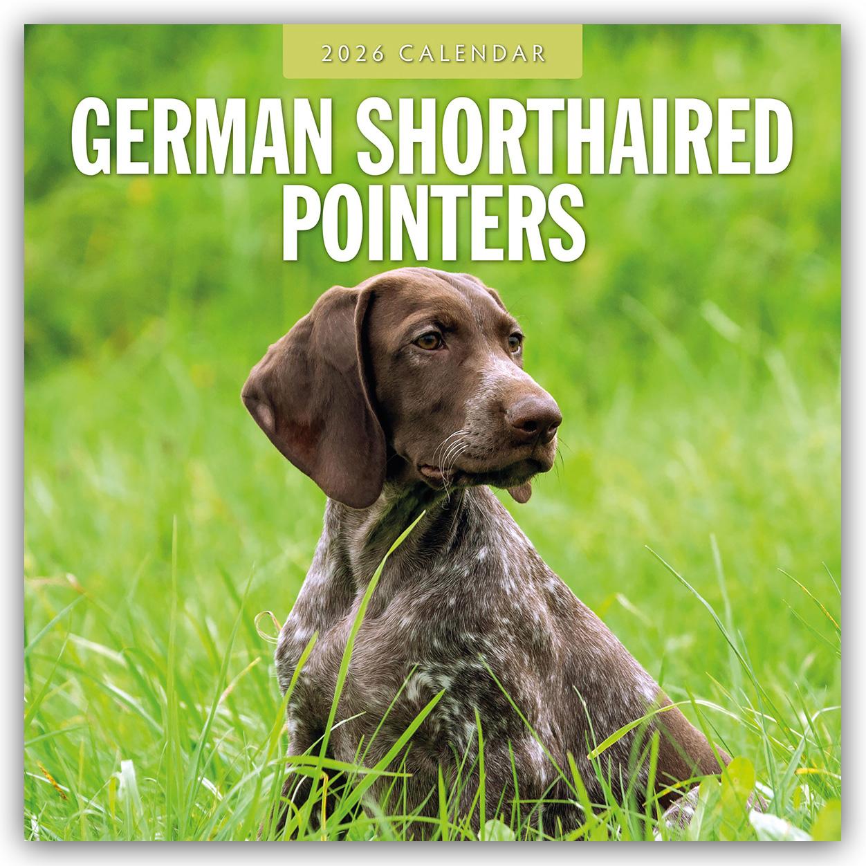 Vorderes Coverbild German Shorthaired Pointers 2026 Square Wall Calendar