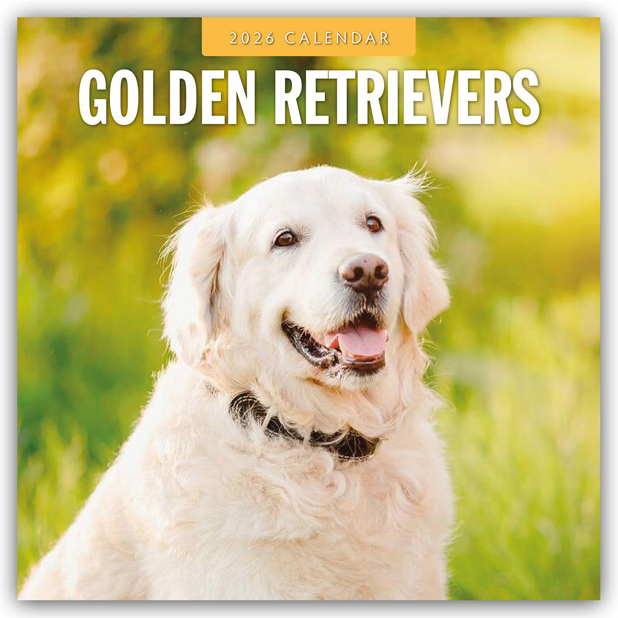 Vorderes Coverbild Golden Retrievers - Golden Retriever 2026 - 16-Monatskalender