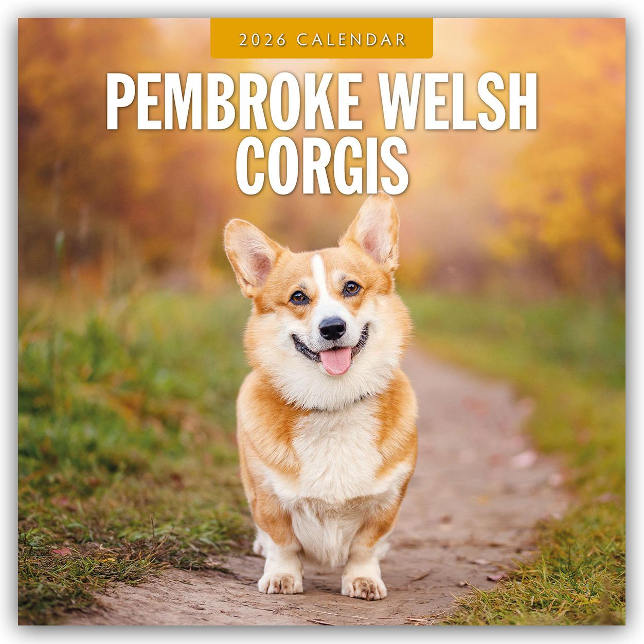 Vorderes Coverbild Pembroke Welsh Corgis 2026 Square Wall Calendar
