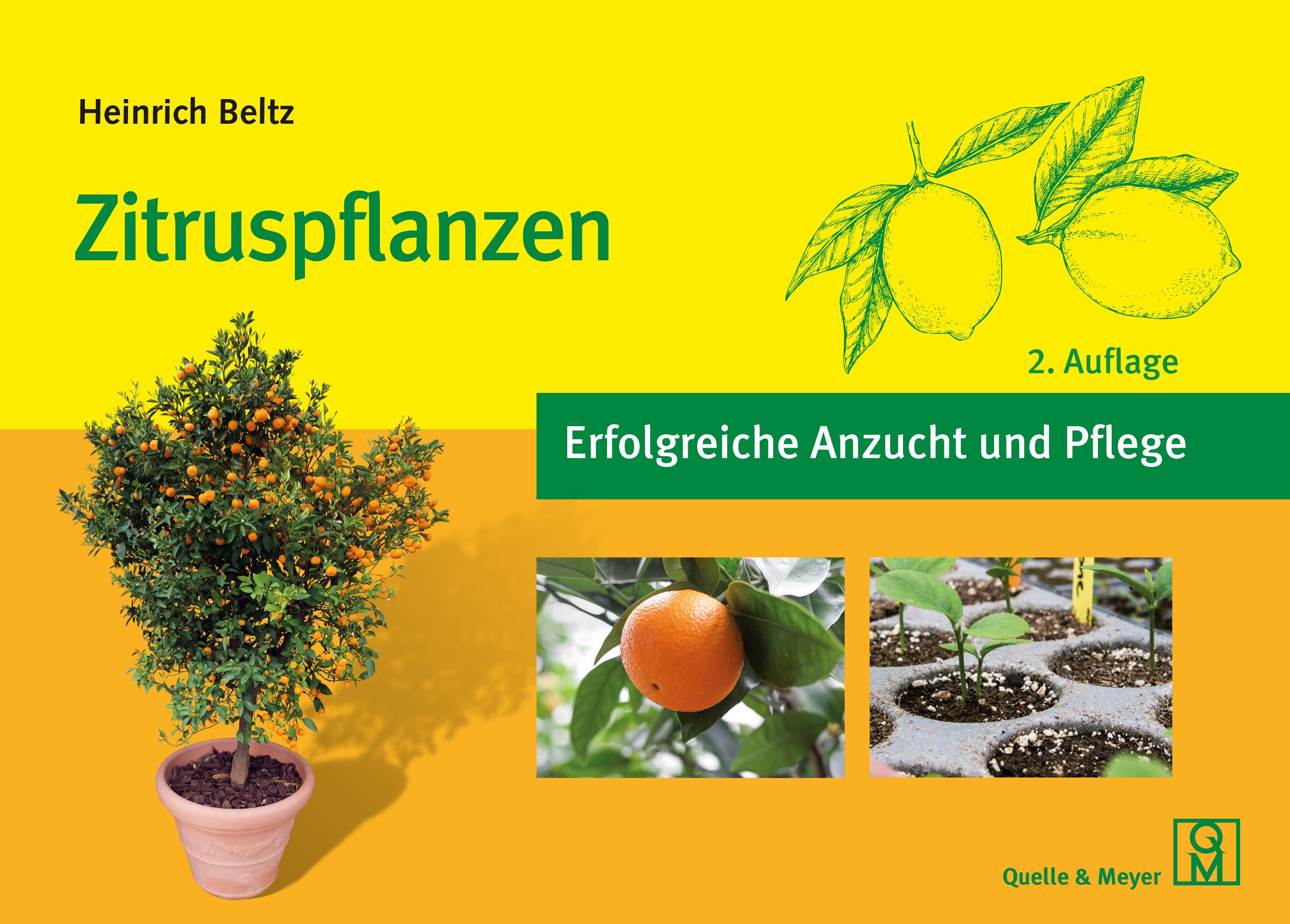 Vorderes Coverbild Zitruspflanzen