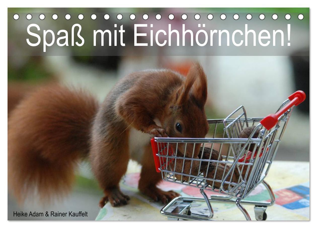 Vorderes Coverbild Spaß mit Eichhörnchen! (Tischkalender 2026 DIN A5 quer), CALVENDO Monatskalender