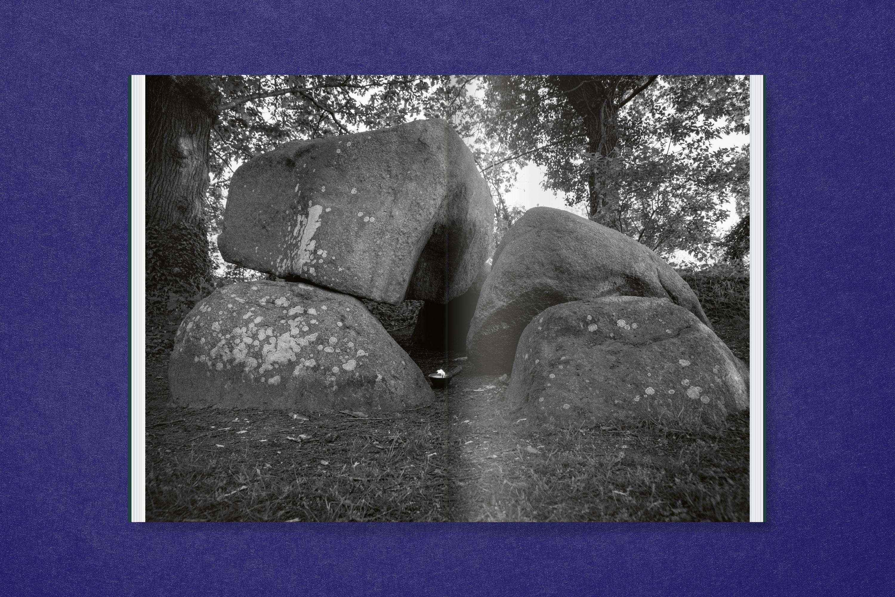 Beispielinhalt (Bild) Saskia Stöhr: Die in der Hecke sitzt