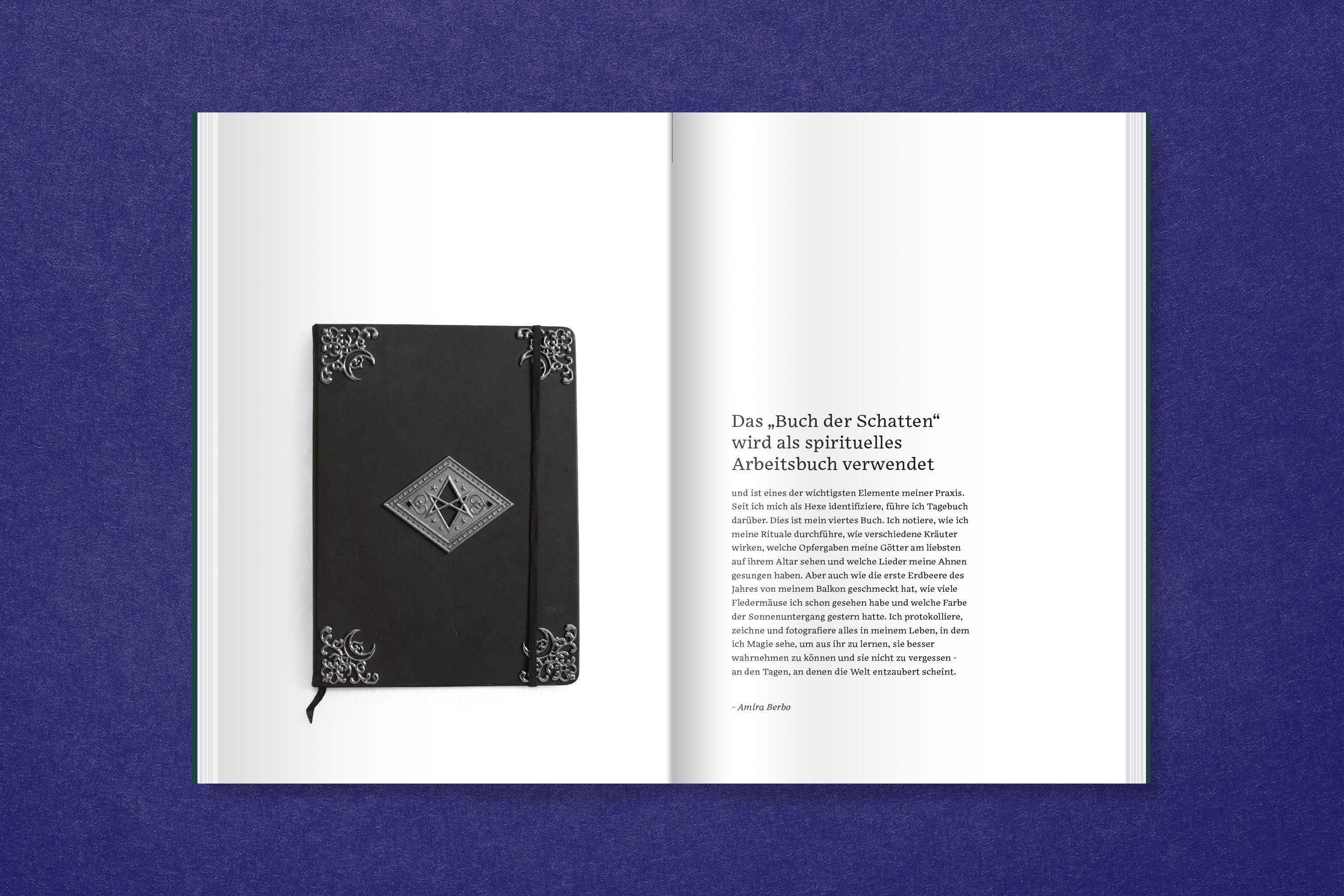 Beispielinhalt (Bild) Saskia Stöhr: Die in der Hecke sitzt