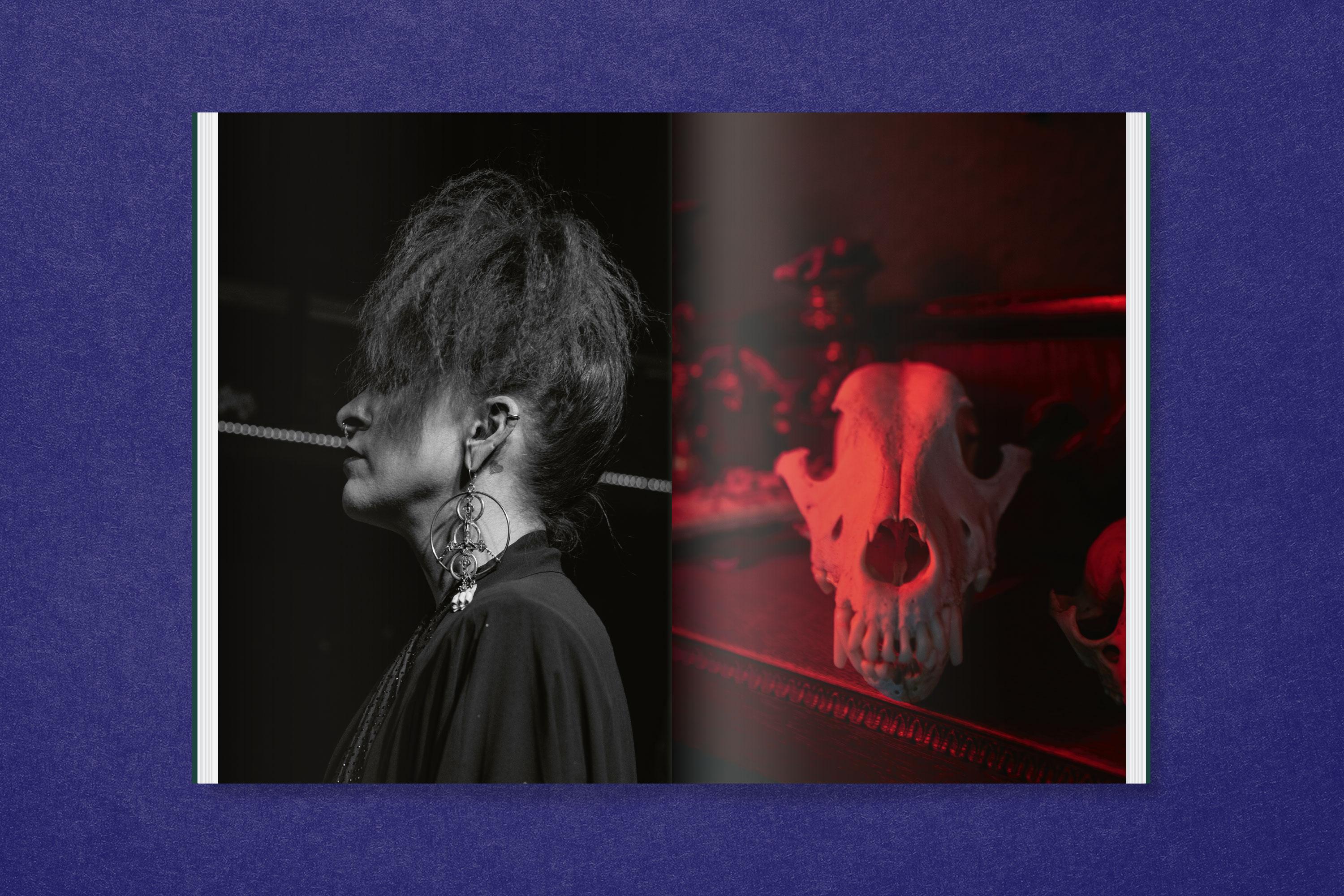 Beispielinhalt (Bild) Saskia Stöhr: Die in der Hecke sitzt